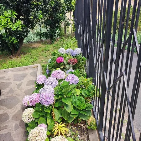 Casa Donela Апартаменты *